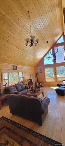 1321 Bristlecone Road, Guffey, CO 80820
