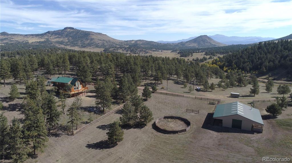 1321 Bristlecone Road, Guffey, CO 80820