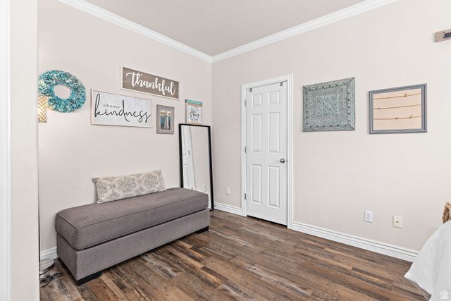 10262 N 3900 W, Cedar Hills, UT 84062