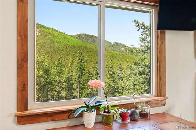 9165 Jill Drive, Conifer, CO 80433