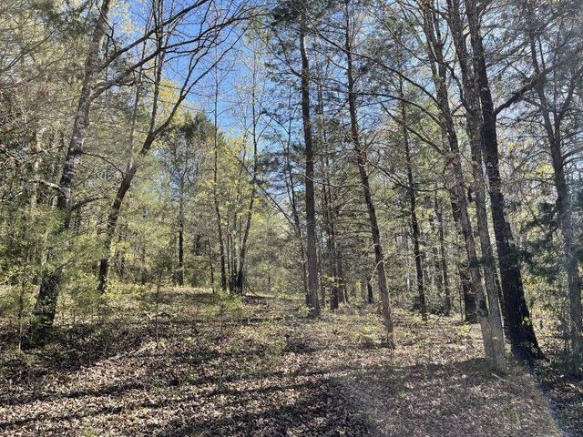 18851 Highway 90 W, Ravenden Springs, AR 72460