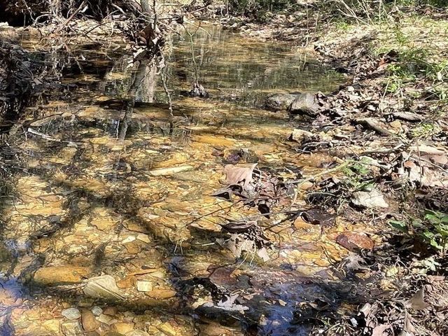 18851 Highway 90 W, Ravenden Springs, AR 72460