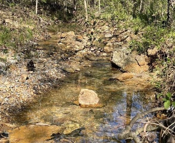 18851 Highway 90 W, Ravenden Springs, AR 72460
