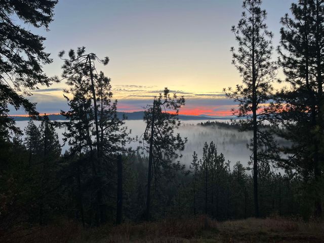 22707 E Lakeview Rd, Newman Lake, WA 99025