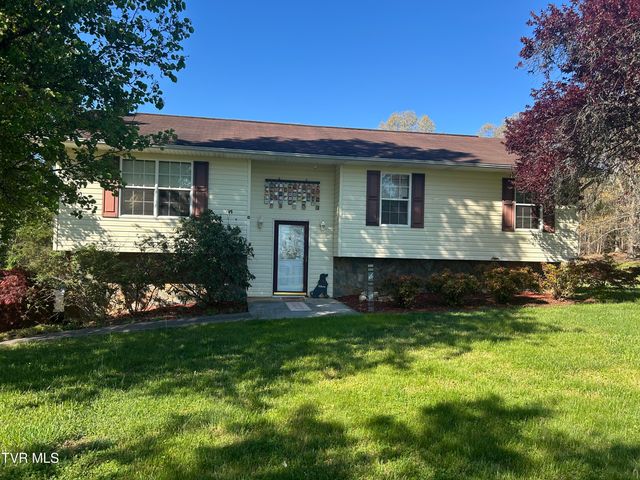 163 Austin Drive, Rogersville, TN 37857