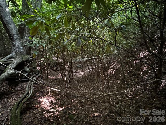 45 Windy Hollow Lane, Newland, NC 28657