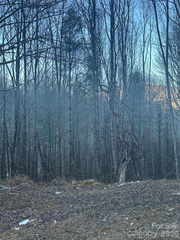 45 Windy Hollow Lane, Newland, NC 28657