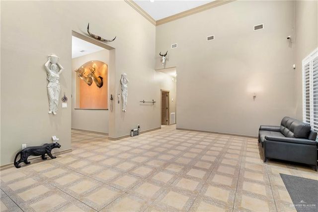 4004 Persimmon Drive, Palmhurst, TX 78573