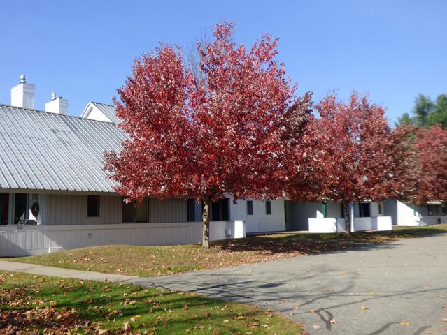 185 Village Green Dr Unit 8F, Stowe, VT 05672