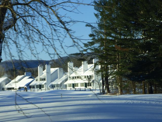 185 Village Green Dr Unit 8F, Stowe, VT 05672