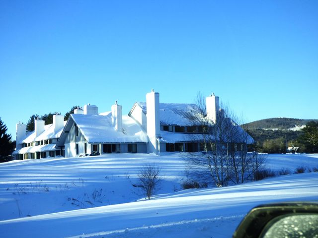 185 Village Green Dr Unit 8F, Stowe, VT 05672