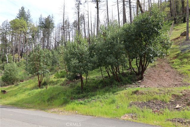 11541 Anderson Springs Road, Middletown, CA 95461