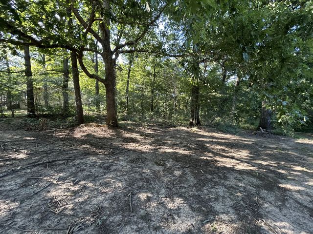 106 Shore Dr, Big Sandy, TN 38221