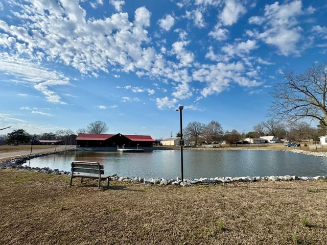 44 Antioch Cove Rd, Springville, TN 38256