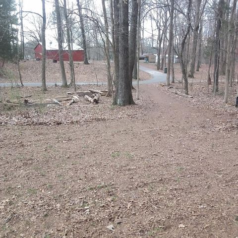 44 Antioch Cove Rd, Springville, TN 38256