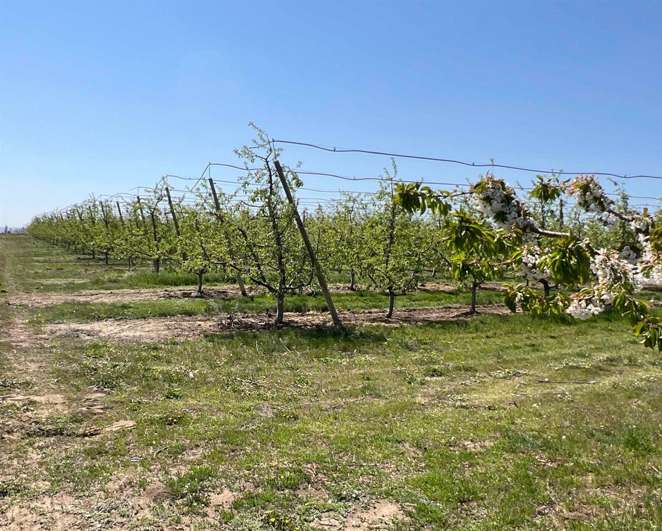 6627 Road T NW Rd, Other, WA 98848 photo 11