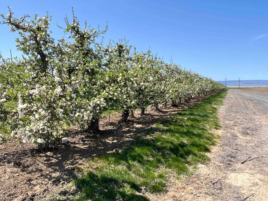 6627 Road T NW Rd, Other, WA 98848 photo 3