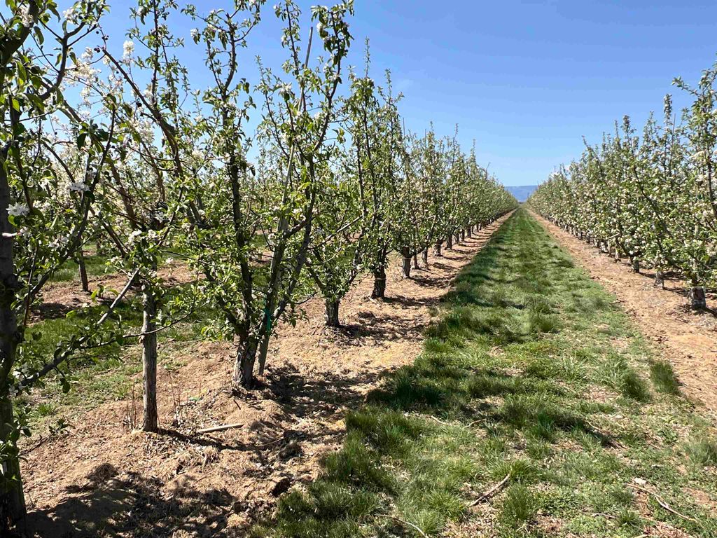 6627 Road T NW Rd, Other, WA 98848 photo 4