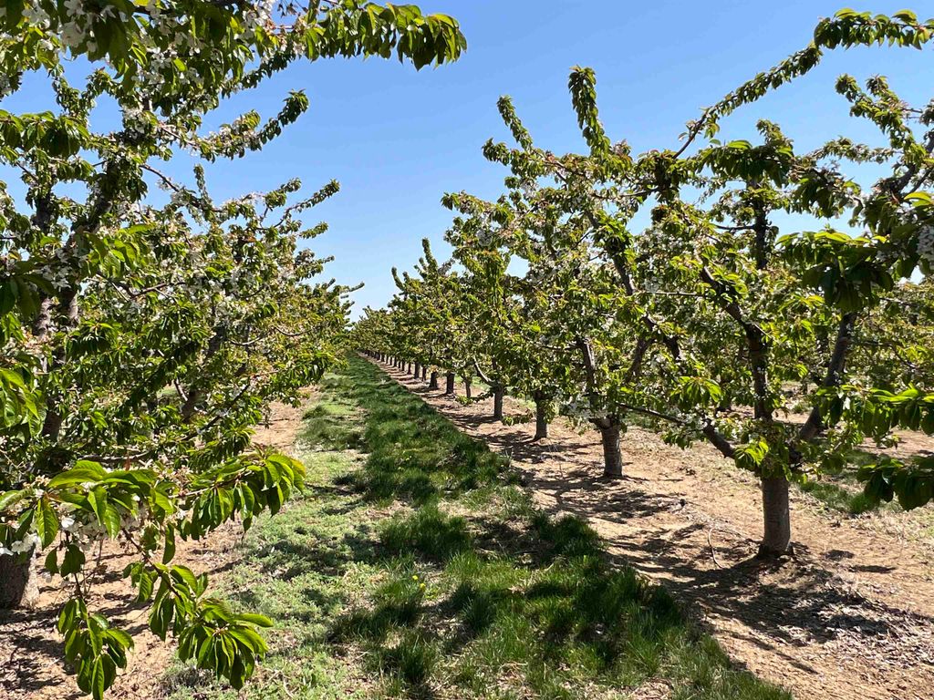 6627 Road T NW Rd, Other, WA 98848 photo 5