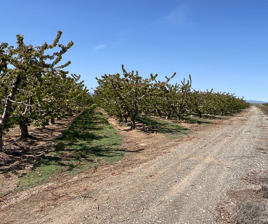 6627 Road T NW Rd, Other, WA 98848 photo 6