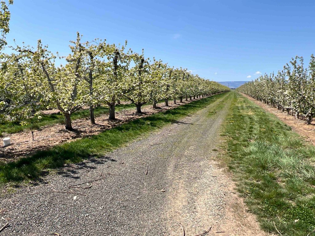 6627 Road T NW Rd, Other, WA 98848 photo 8