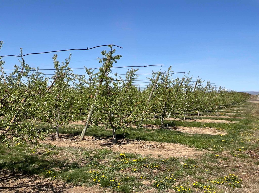 6627 Road T NW Rd, Other, WA 98848 photo 9