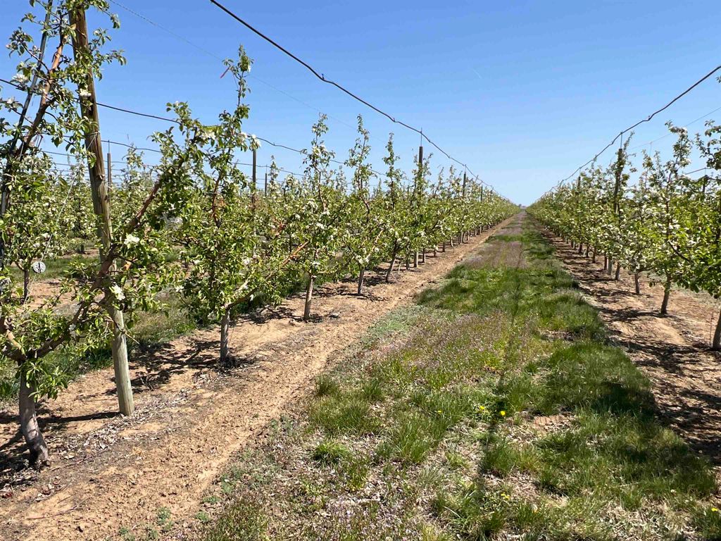 6627 Road T NW Rd, Other, WA 98848 photo 10