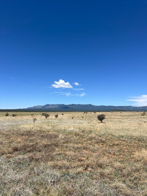 Spencer Ranch Road, Mountainair, NM 87036