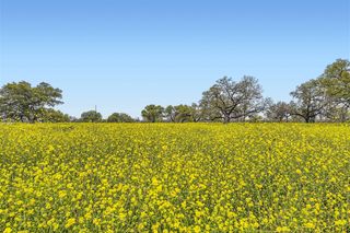 602 NW River road, Martindale, TX 78655