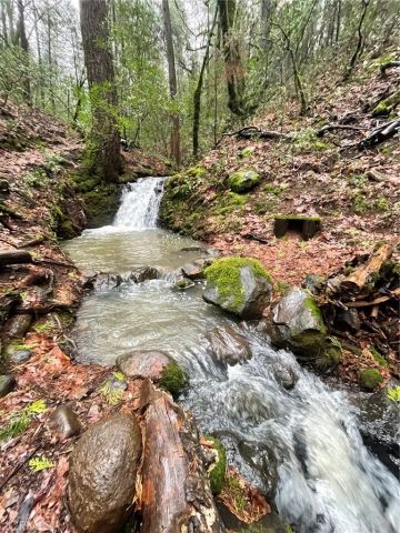 15001 Culiacan Court, Forest Ranch, CA 95942