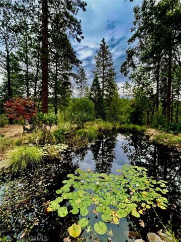 15001 Culiacan Court, Forest Ranch, CA 95942