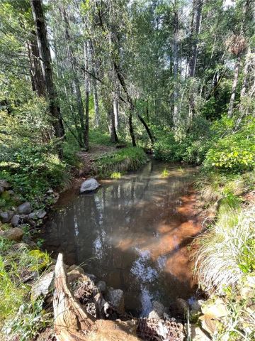 15001 Culiacan Court, Forest Ranch, CA 95942