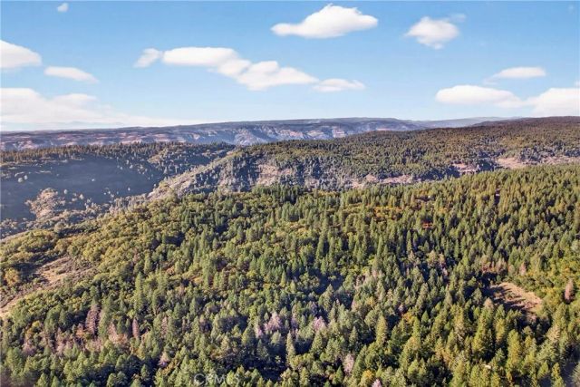 15001 Culiacan Court, Forest Ranch, CA 95942