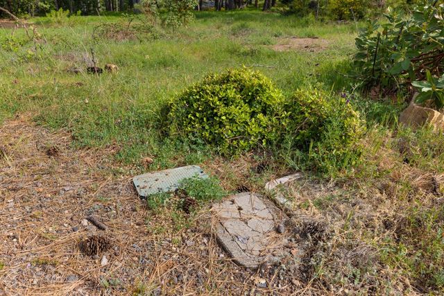 3435 Carson Rd, Camino, CA 95709