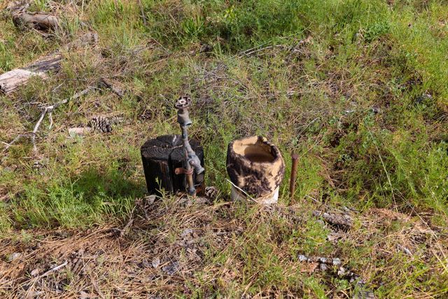 3435 Carson Rd, Camino, CA 95709