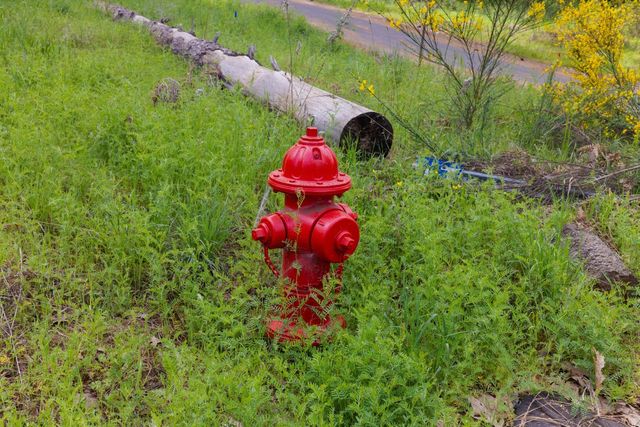 3435 Carson Rd, Camino, CA 95709