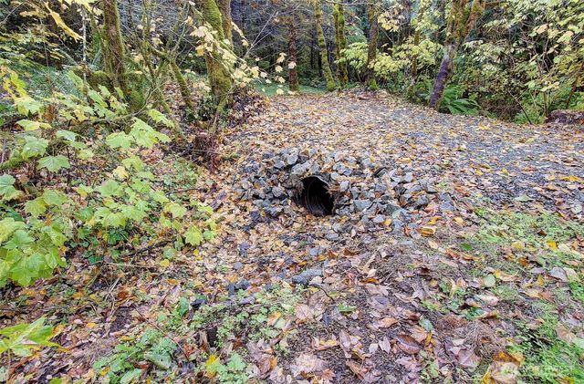 133 Lost Creek Drive, Glenoma, WA 98336