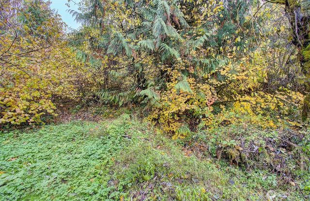 133 Lost Creek Drive, Glenoma, WA 98336
