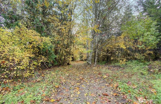 133 Lost Creek Drive, Glenoma, WA 98336