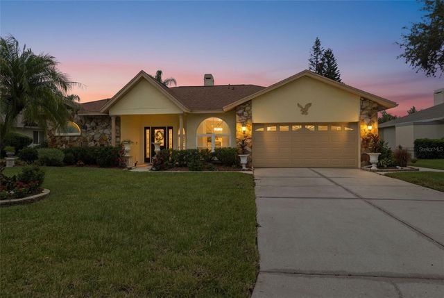23427 PINE LAKE STREET, Land O Lakes, FL 34639
