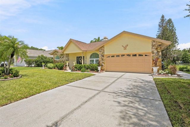 23427 PINE LAKE STREET, Land O Lakes, FL 34639