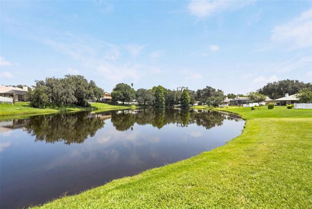 23427 PINE LAKE STREET, Land O Lakes, FL 34639