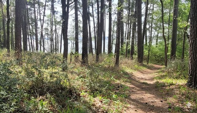 107 Henry Stuart Court, Huntsville, TX 77340