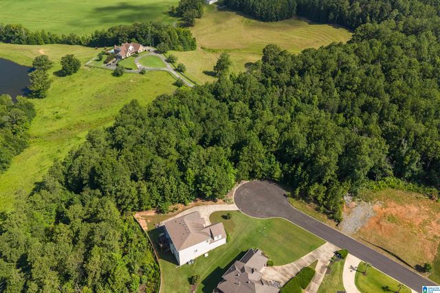3732 IVY GREEN, Mccalla, AL 35022