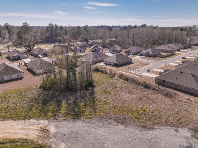Lot B-1-A Burgess Rd, Denham Springs, LA 70726