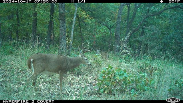 Parkwood Road Road, Mcloud, OK 74581