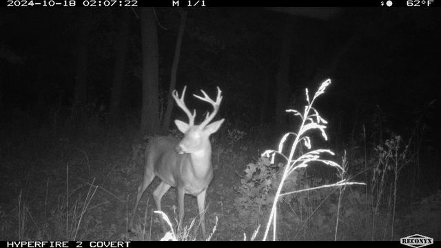 Parkwood Road Road, Mcloud, OK 74581