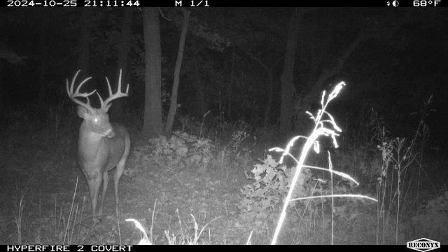 Parkwood Road Road, Mcloud, OK 74581