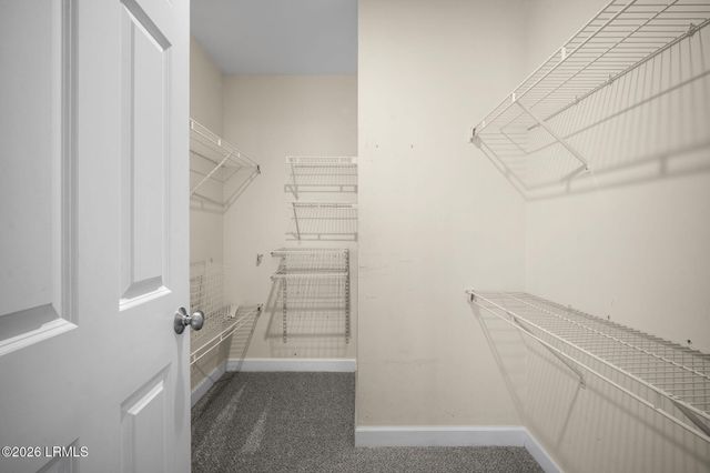 38 Sapelo Island Lane, Bluffton, SC 29910