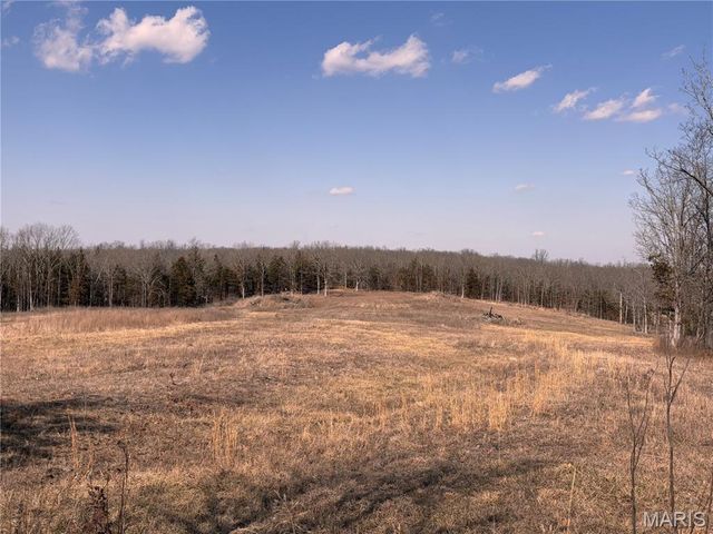 85 Barnicle Chapel Road, Steelville, MO 65565